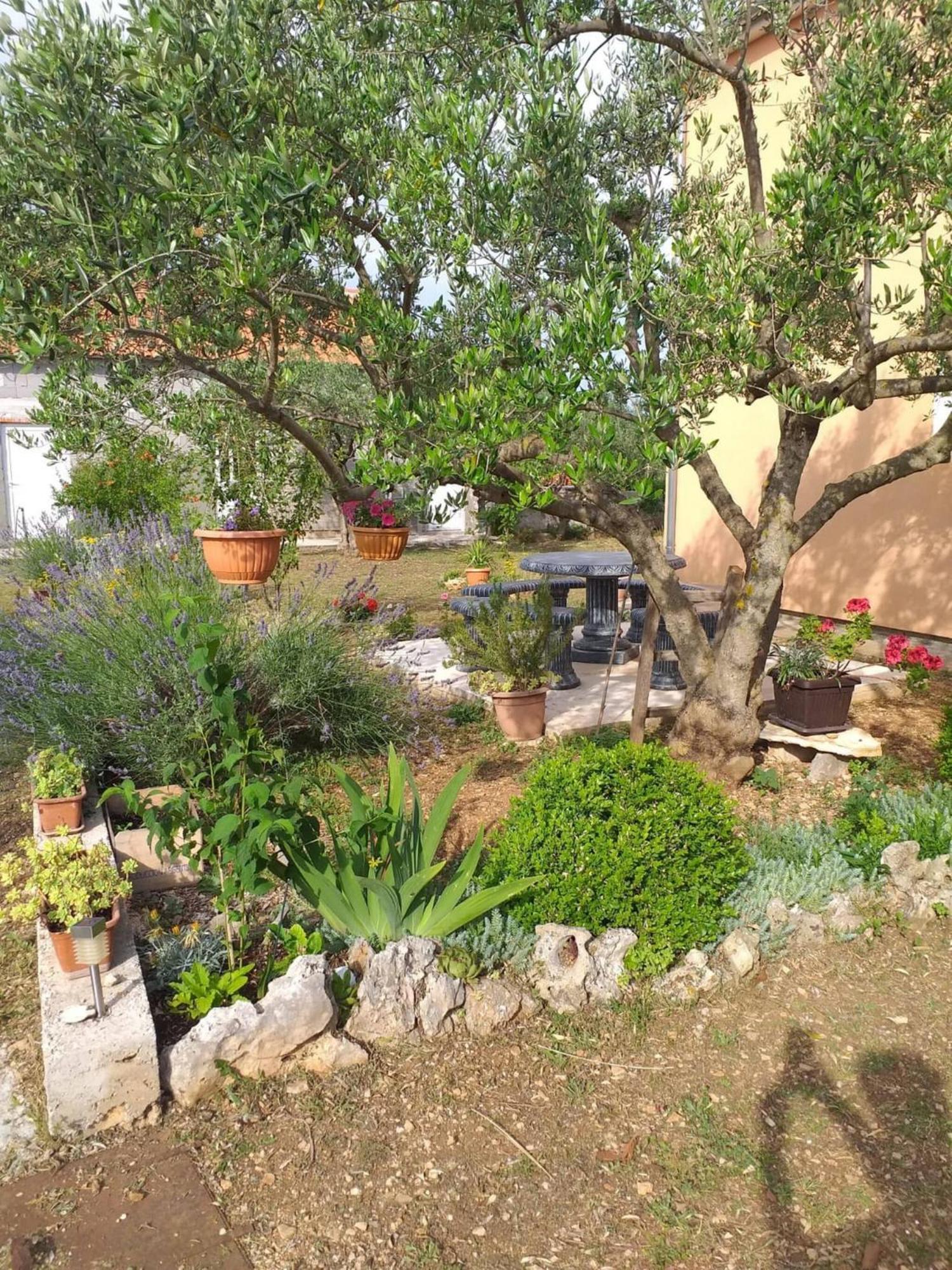 Rural Apartment Ante Drniš Exterior foto